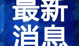 东方树叶爆料视频大全最新,揭秘品牌背后的故事与魅力
