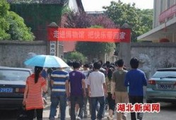 浠水二小爆料新闻报道最新,校园动态与教育成果精彩呈现